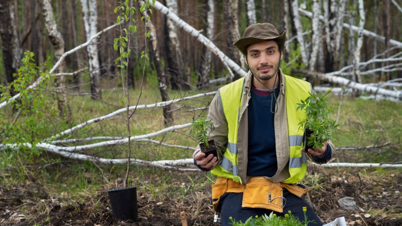 Sustainable Logging Practices