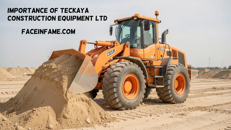 Importance of Teckaya Construction Equipment Ltd